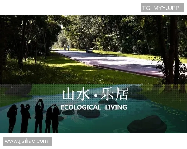 南京极限运动队的蜕变之旅：从传统到创新的全新探索与挑战